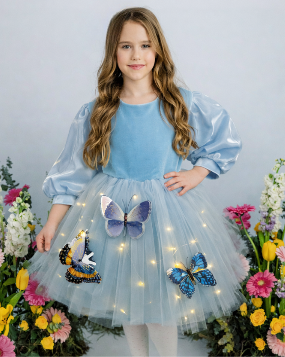 Blue Dress with Lights, Tulle with Butterflies