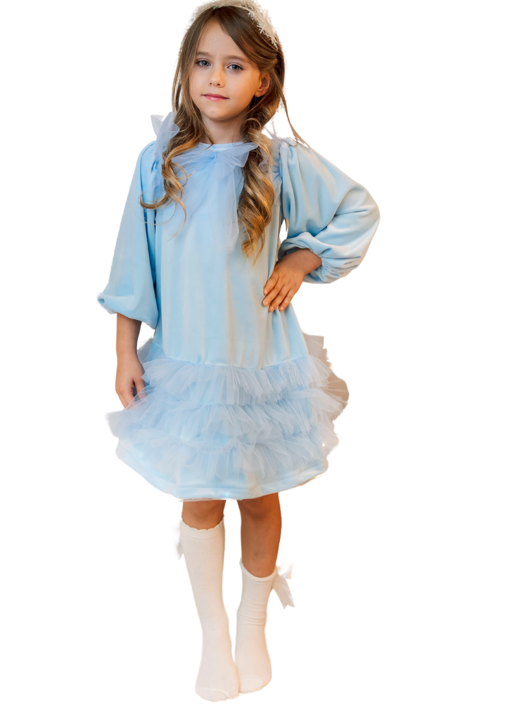 Blue velvet dress with tulle ruffles