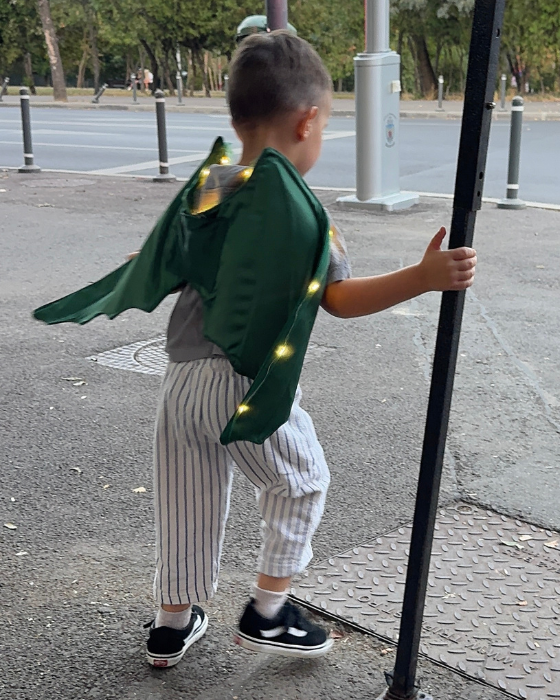 Dragon / Dinosaur Wings with Lights for Kids