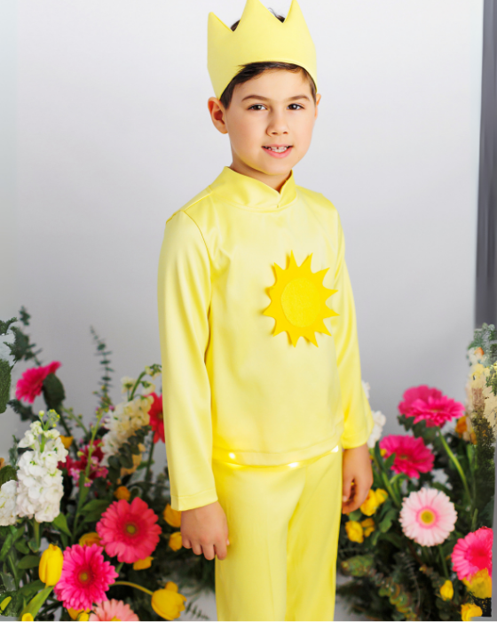 Sunlight Blouse with Lights
