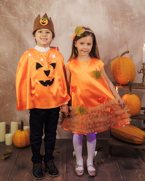 The Little Dress with Lights, The Autumn Fairy
