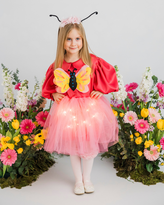 Pink Butterfly Dress with Lights, Spring Celebration