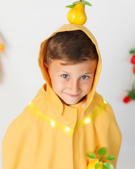 Quince / Pear Costume, with Lights, Universal, Autumn Festival
