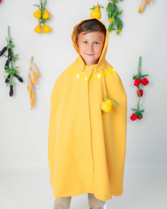Quince / Pear Costume, with Lights, Universal, Autumn Festival