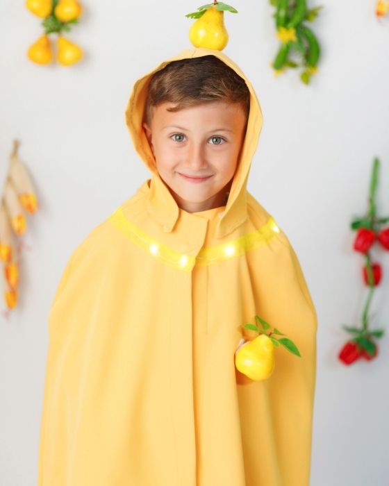 Quince / Pear Costume, with Lights, Universal, Autumn Festival
