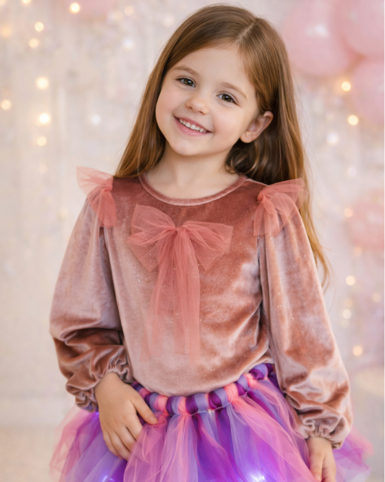 Velvet Glitter Puff Sleeve Blouse