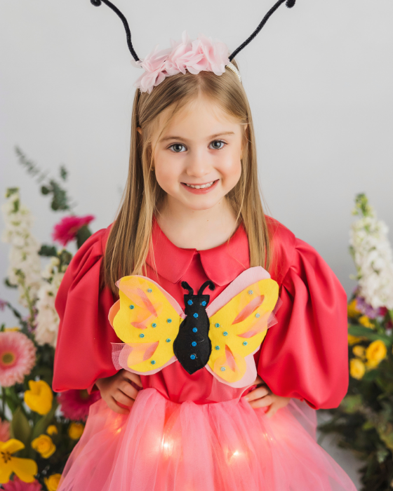 Pink Butterfly Dress with Lights, Spring Celebration