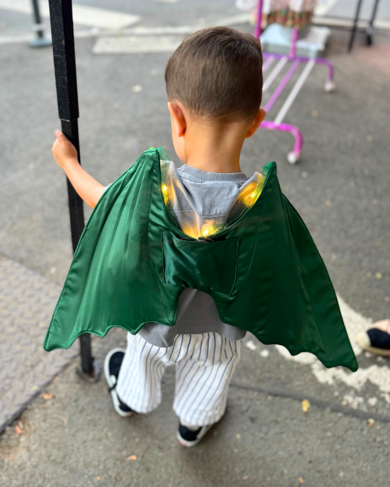 Dragon / Dinosaur Wings with Lights for Kids