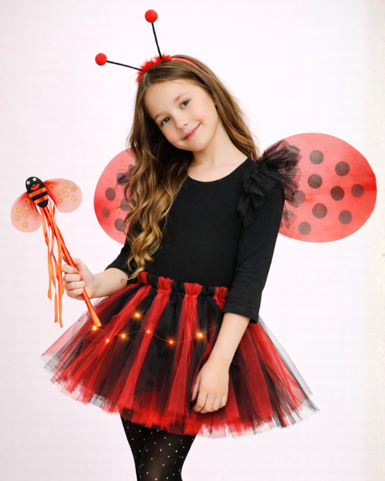 Ladybug Costume, 5 pieces