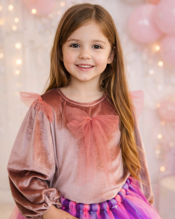 Velvet Glitter Puff Sleeve Blouse