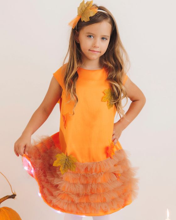 The Little Dress with Lights, The Autumn Fairy