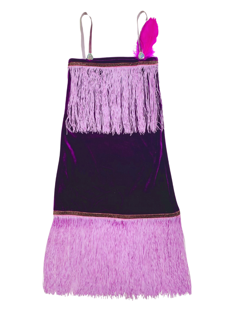 Gorgeous Modern Dance Dress with Premium Fringes and Feathers