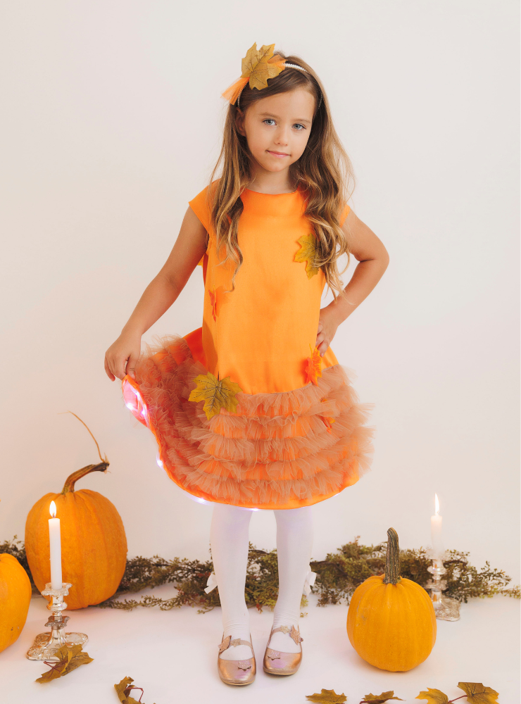 The Little Dress with Lights, The Autumn Fairy