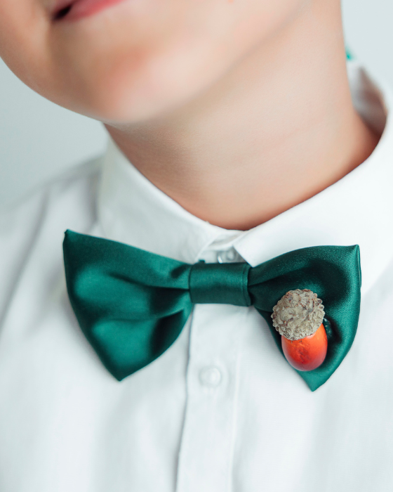 Autumn Green Bow Tie, with Acorn