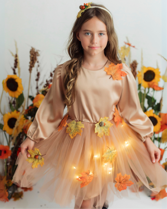 Autumn Fairy Costume, 2 pieces, Dress and Headband