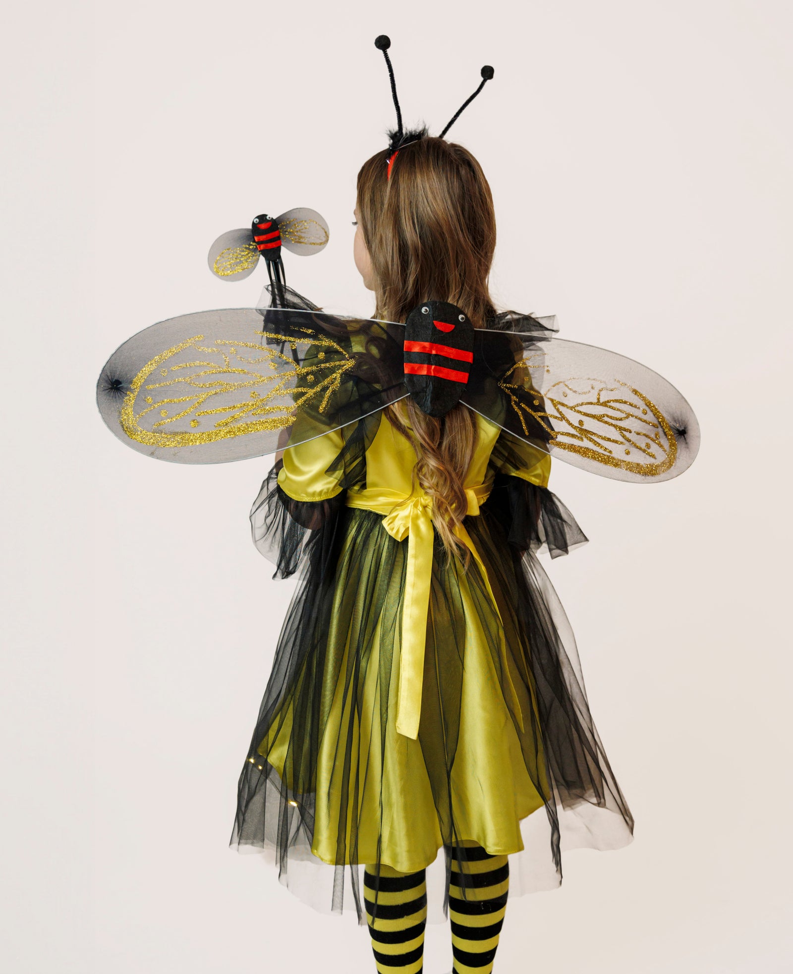 Magic Bee Wings Set, 3 Pieces