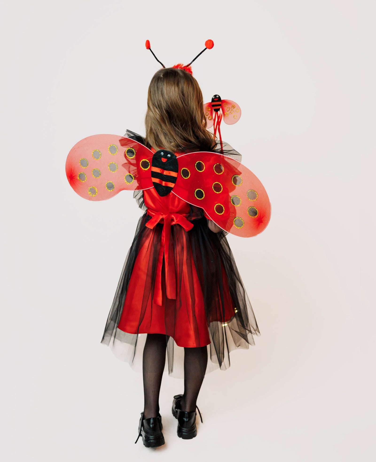 Ladybug Wings Magic Set, 3 Pieces