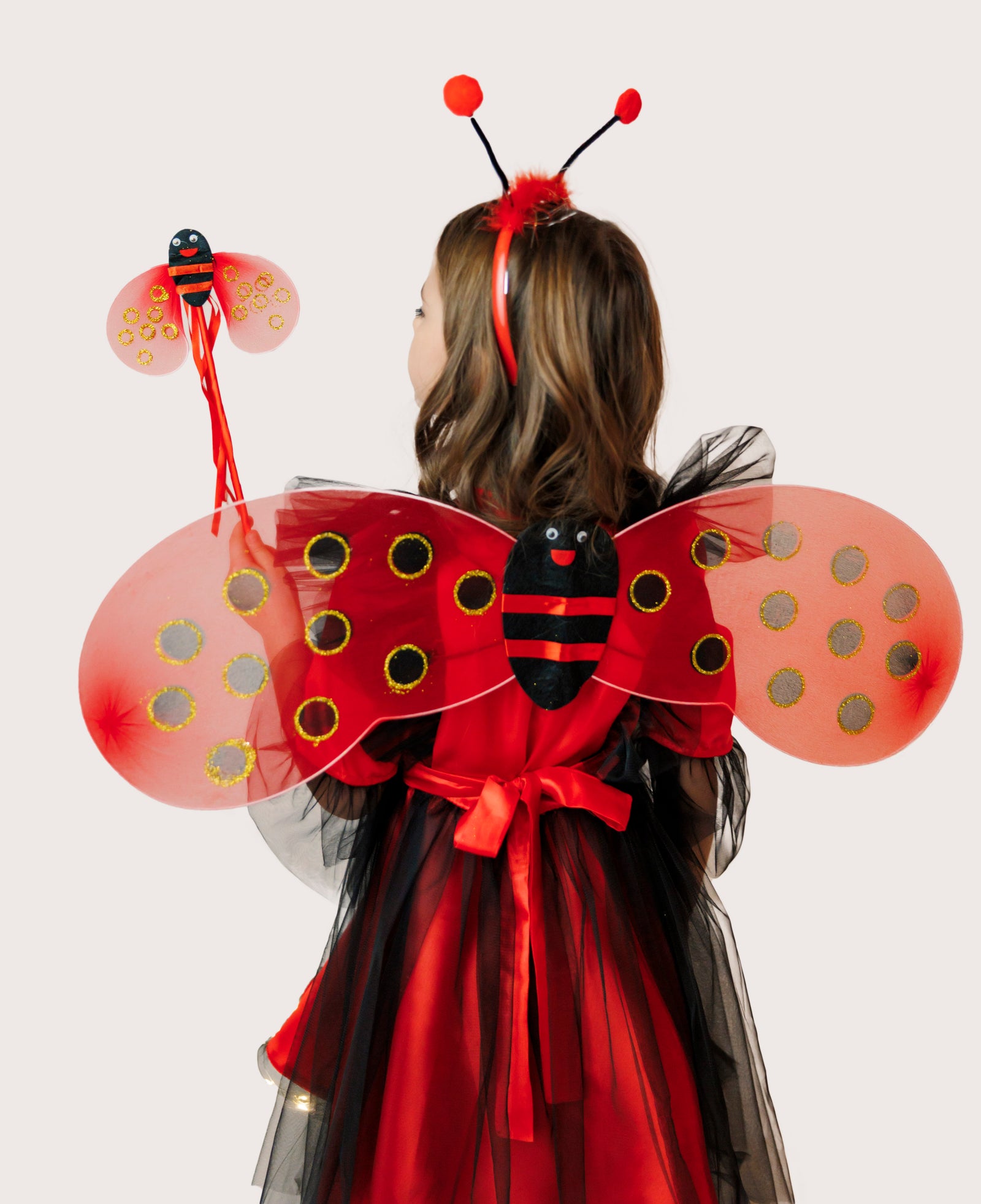 Ladybug Wings Magic Set, 3 Pieces