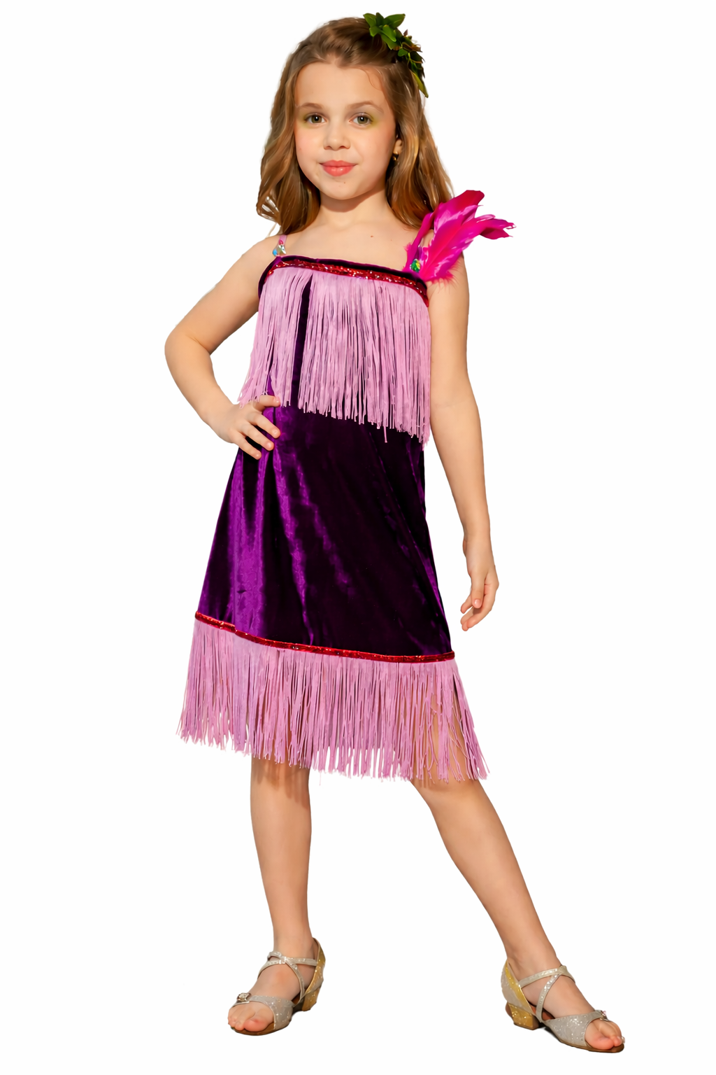 Gorgeous Modern Dance Dress with Premium Fringes and Feathers