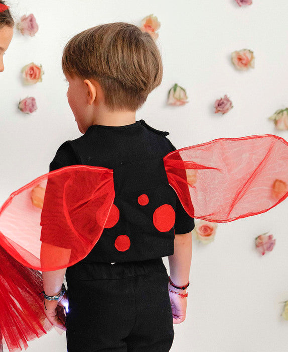 Ladybug Vest, for Boys