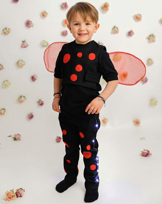Ladybug Costume, 2 Pieces, for Boys