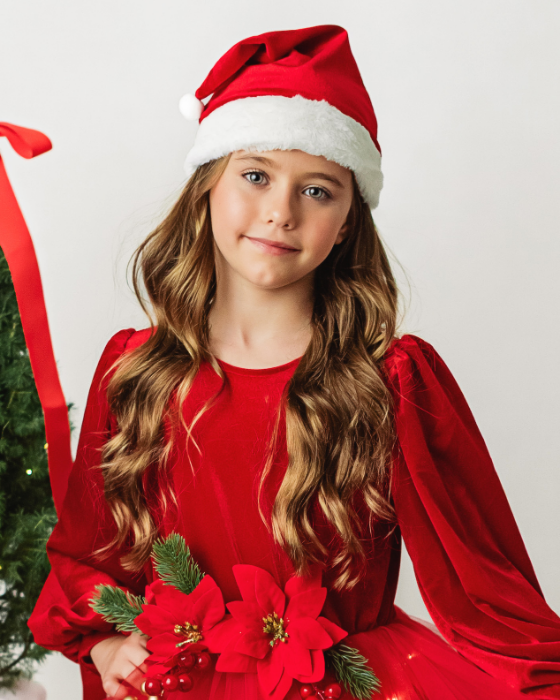 Red Velvet Santa Hat