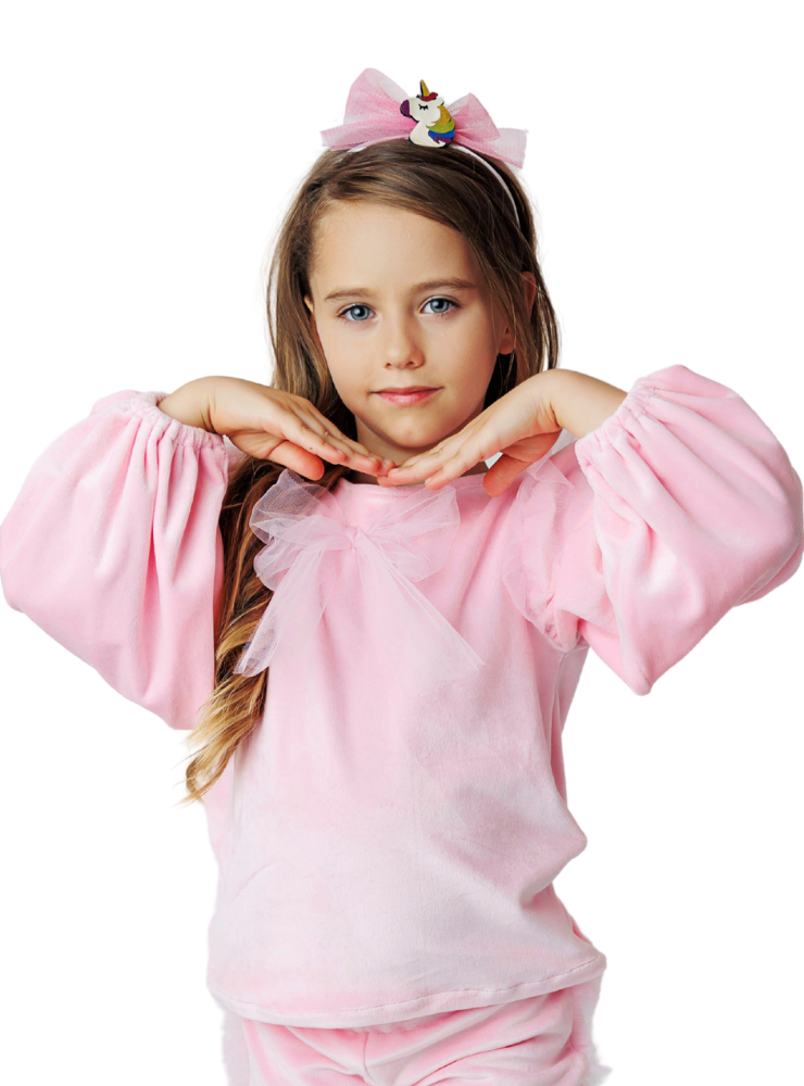 Pale Pink, Velvet Blouse