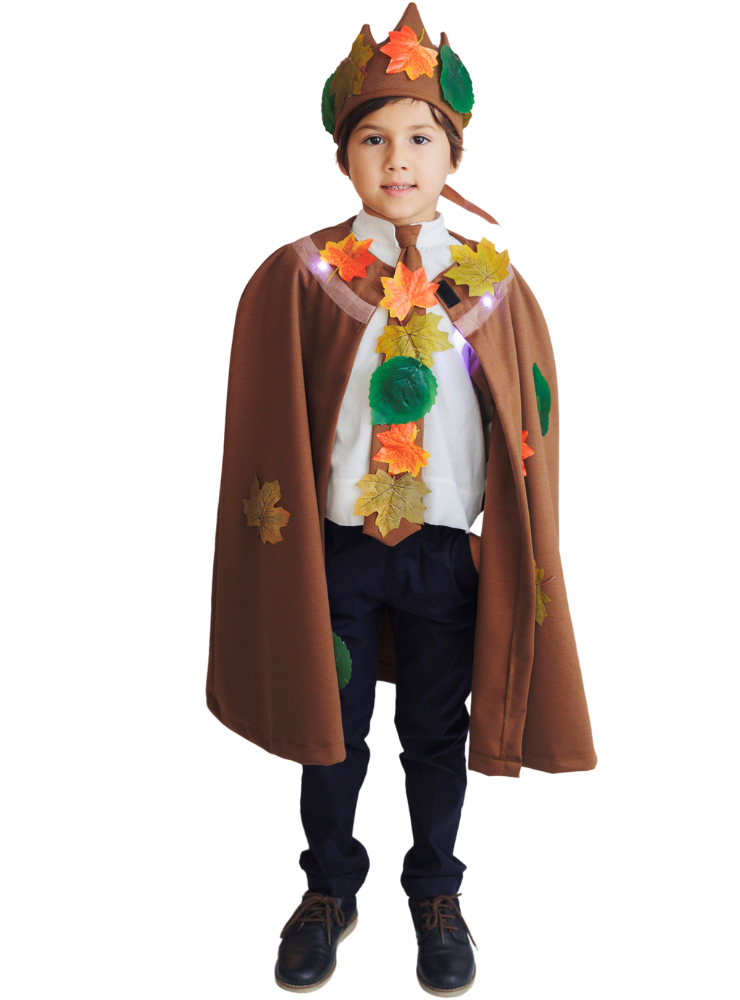 2 Piece Costume, Autumn King, Brown