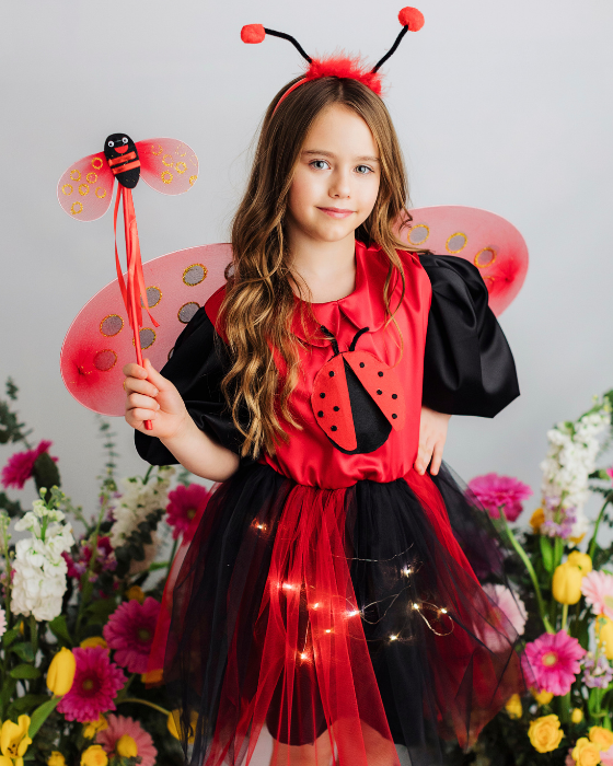 Ladybug Dress with Lights, Spring Play