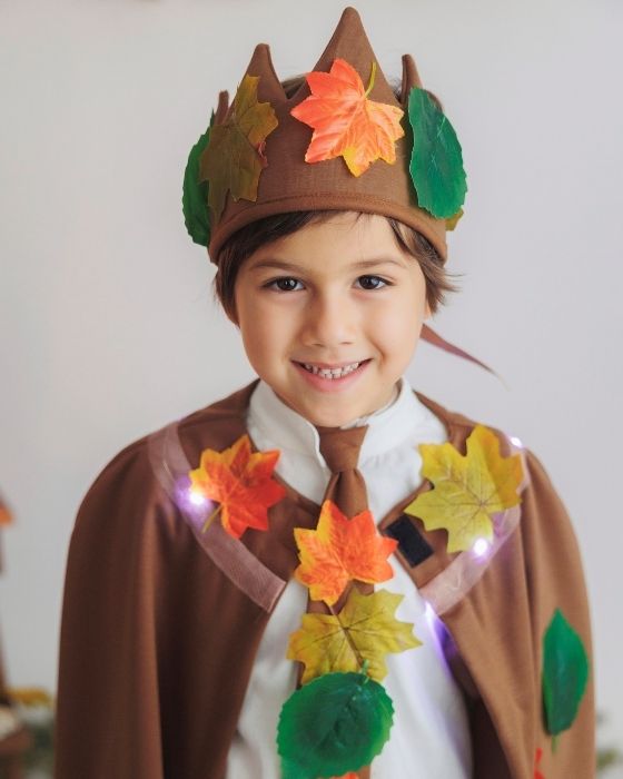 2 Piece Costume, Autumn King, Brown