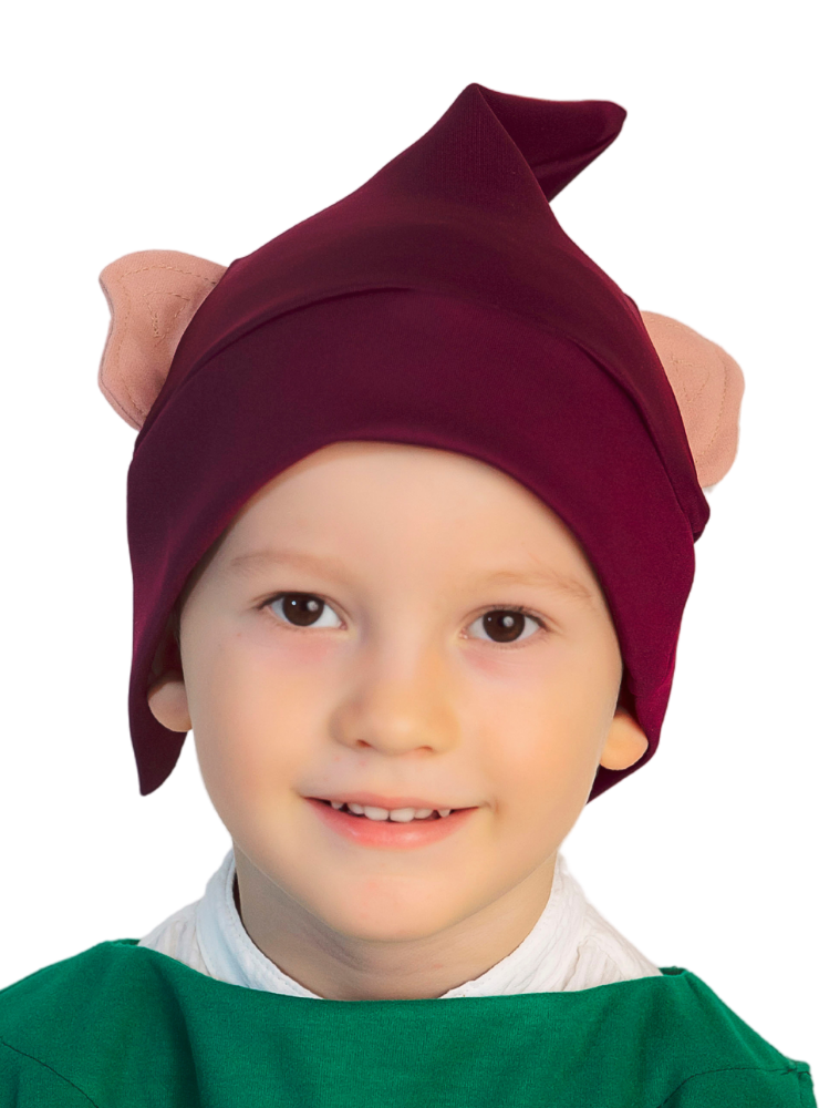 Dwarf hat for celebration
