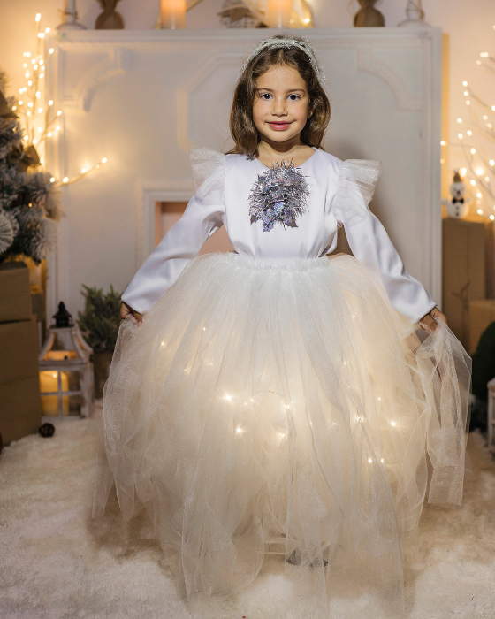 The White Blouse with Silver