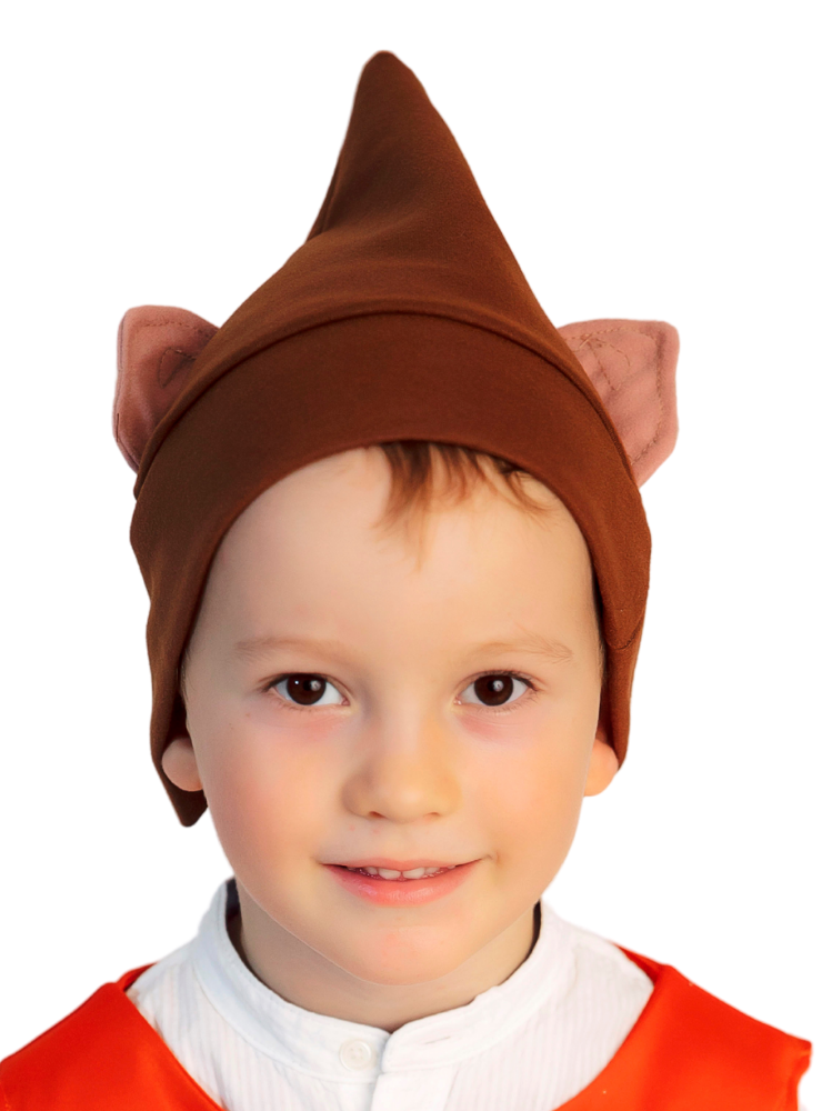 Dwarf hat for a party
