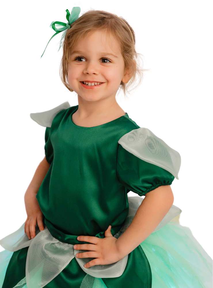 Green Blouse, by Spring Fairy / Tinkerbell