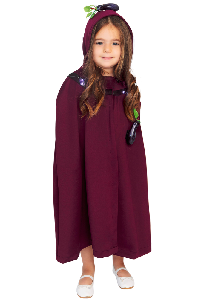 Eggplant Costume with Lights, Universal, for Autumn Vegetable Show