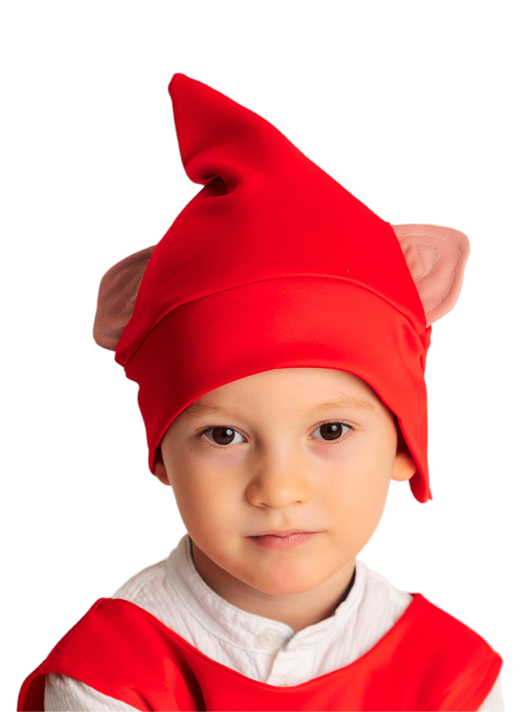 Red Dwarf Hat for Party