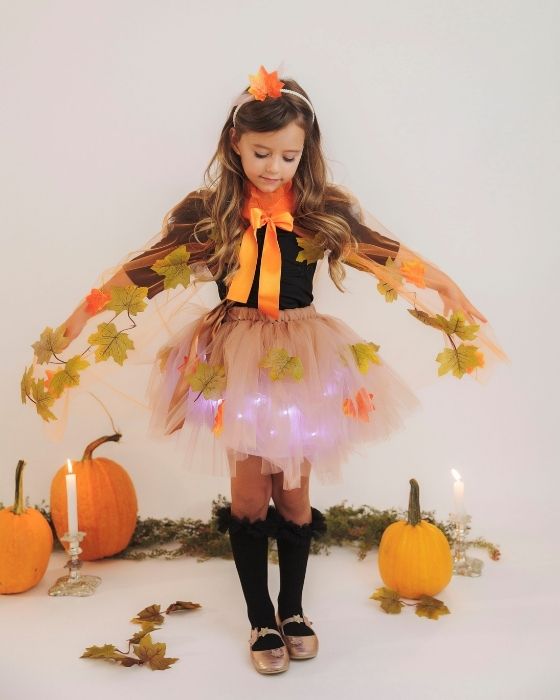 Autumn Fairy Complete Costume, 4 pieces