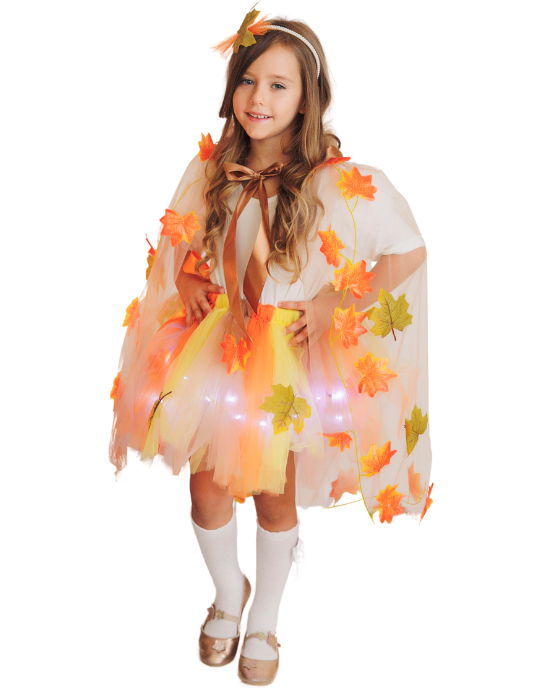 Pastel Autumn Fairy Complete Costume, 4 pieces
