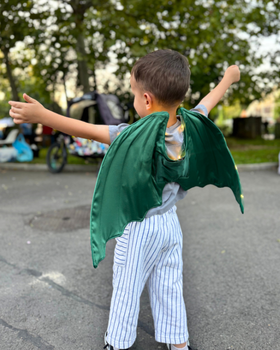 Dragon / Dinosaur Wings with Lights for Kids