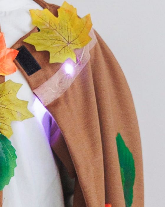 2 Piece Costume, Autumn King, Brown