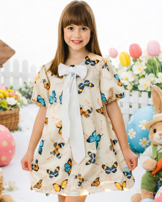 School / Kindergarten Butterfly Dress 