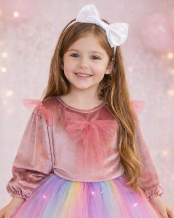 Velvet Glitter Puff Sleeve Blouse