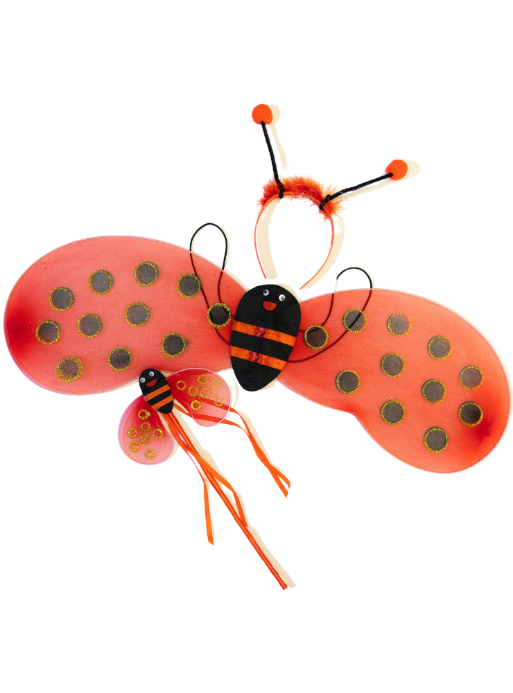 Ladybug Wings Magic Set, 3 Pieces