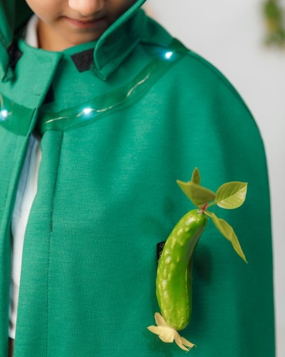 Cucumber Costume, with Lights, Universal, Autumn