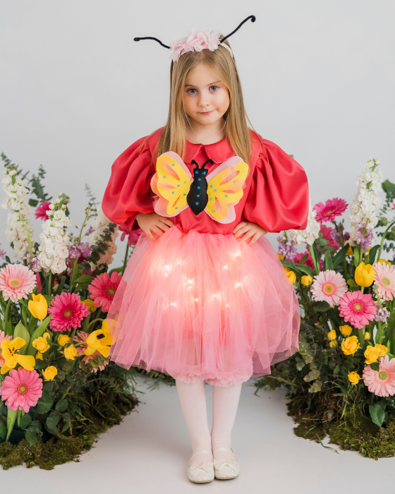 Pink Butterfly Dress with Lights, Spring Celebration