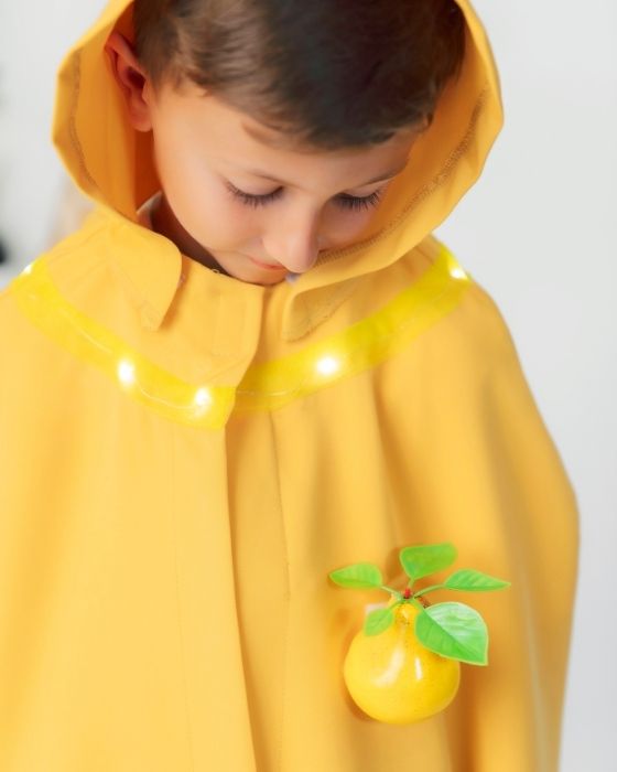Quince / Pear Costume, with Lights, Universal, Autumn Festival