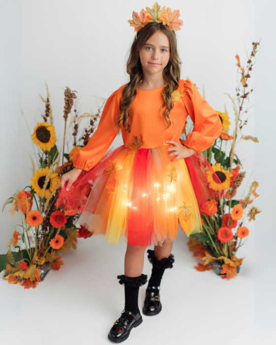 Autumn Fairy Complete Costume, 4 pieces