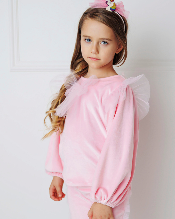 Pale Pink, Velvet Blouse