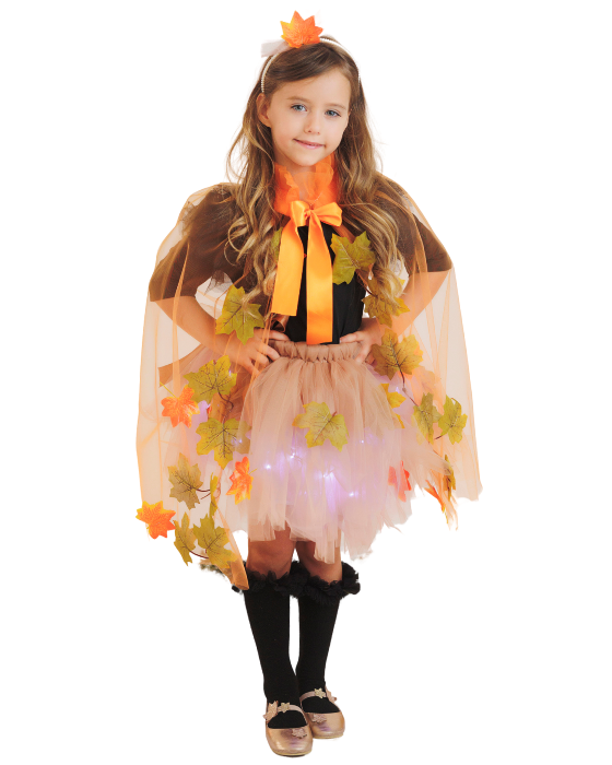 Autumn Fairy Complete Costume, 4 pieces