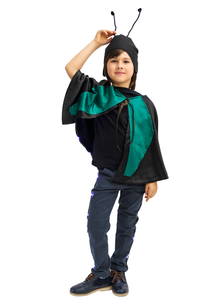 Cricket Costume, 2 Pieces, with Lights